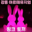 핑크토끼 | [강릉 아르떼뮤지엄 후기] 핑크토끼 전시 사진맛집 꼭 가야 할 강릉 실내 전시 추천!