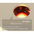 보령머드36 이미지