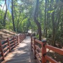 7월1일(화요일) 번개 야간도보 개금 숲길공원 산책 ● 취소● 기록적인 최고 기온으로 부득히 번개 야간도보를 취소합니다 양해 바랍니다 이미지