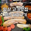 하마고기행신 이미지