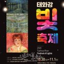 2020 태화강 빛 축제 이미지