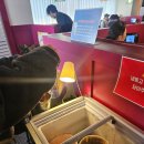 중앙동260 | [대전/중앙동] 대전 중앙동 여행 후기(2)