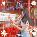 개샤방 | 간사이 공항에서 교토 가는법 하루카 티켓 예약 쉬운 방법 찐후기