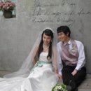 양월약국 이미지