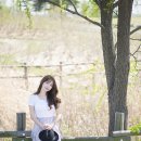 컬러아트 이미지