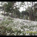 가을7080