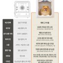 Dr.펫 티스토리