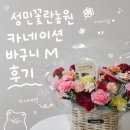 한편농원 | [하남 초이]성민꽃란농원, 어버이날 카네이션 꽃바구니(M) 만족 후기❤️
