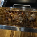 깍두기바비큐 이미지