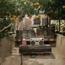 버팀목농원 이미지