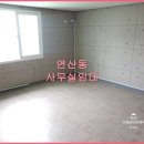 연제구-140 이미지