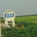 포스런 이미지