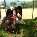 명곡초등학교 이미지