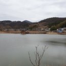 틀모산 도시숲 이미지