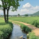 강변에서 이미지