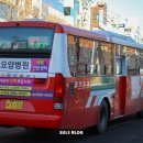 시내공판장