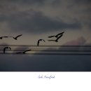 높은음자리 이미지