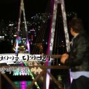 [안도마을]방풍나물 네이버블로그