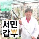 초록렌탈 이미지