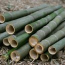 대금울림 이미지