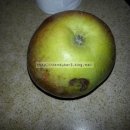 수현농원 이미지