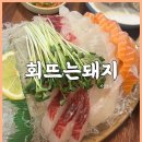 회뜨는돼지 이미지