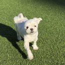 위너부동산중개 이미지