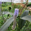 하니농장 이미지