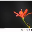 거북공원 이미지