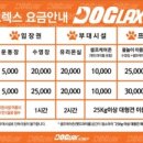 도그렉스 이미지