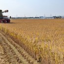 전라북도 농업기술원 이미지