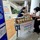 대전시청 이미지