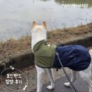 산이 | 포인핸드 입양후기포인핸드 입양후기🧡 2019. 산이