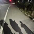 나지금제주 이미지