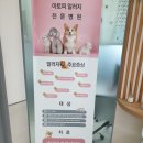 하인츠동물병원 | 애견델탈껌/치석제거/애견껌/껌먹고 알러지반응나서 병원간 후기/하인츠동물병원
