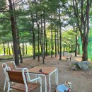 황새울공원 | 분당 황새울공원, 강아지랑 걷기 좋은 공원 산책 후기