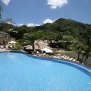 신기한 동식물여행 1 이미지