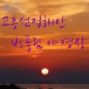 월정방풍림 이미지