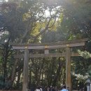 에어부산 주식회사 | 도쿄 4박 5일 여행 후기