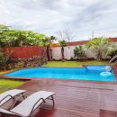 네이처러스 판포나일 이미지