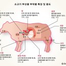 놀부곱창