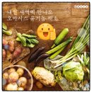 오아시스홀딩스주식회사