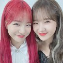 유정유리 이미지