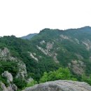삼릉약국 Daum카페
