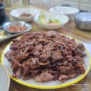 능포낚시공원 | [경남 거제] 장승포항 근처 컨디션 좋은 조식제공 신축호텔, 캄레스트호텔 거제 숙박후기(스탠다드 더블)