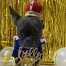 꼼스테이블 이미지