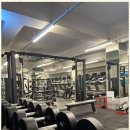 레몬핏 휘트니스 이미지