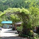 계곡사슴팬션 이미지