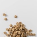 벅스(주) 이미지