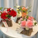 라피오레 이미지